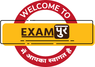 Exam Pur logo